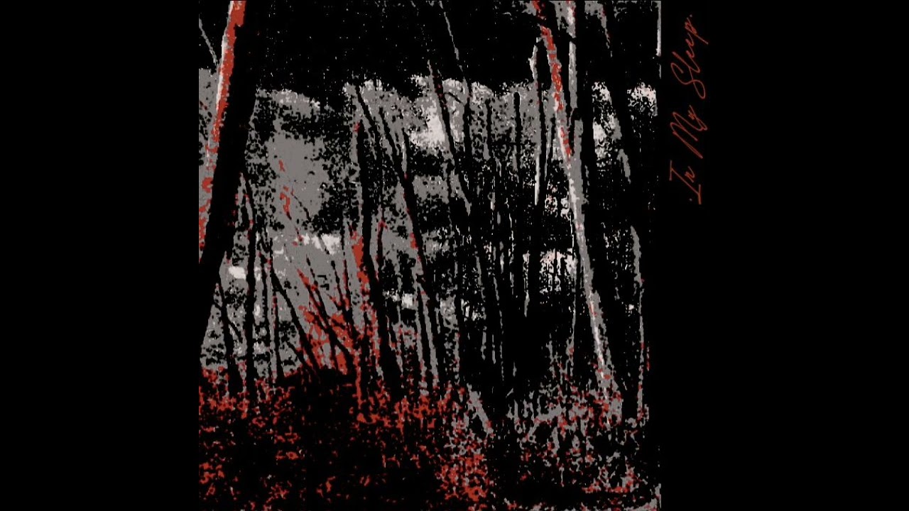 In My Sleep (new version)