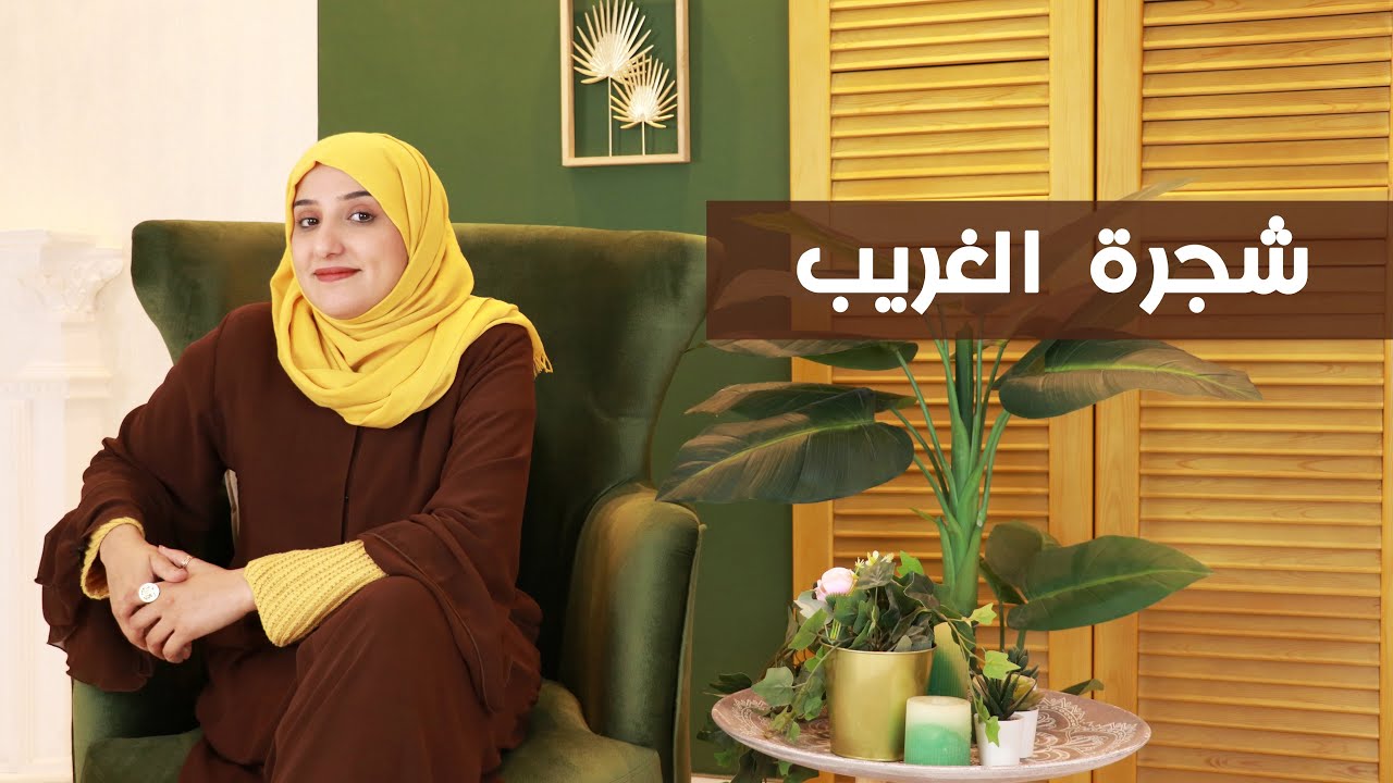 شجرة الغريب في اليمن