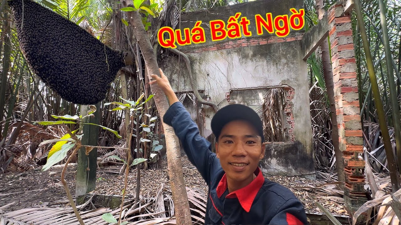 Rừng Thiêng Bí Ẩn Luồng Đến Khu Này Bất Ngờ Kiếm Tiền Triệu