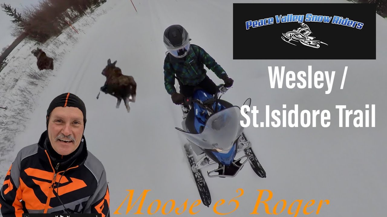Roger & the moose | Peace Valley Snow Riders Wesley Creek Trail
