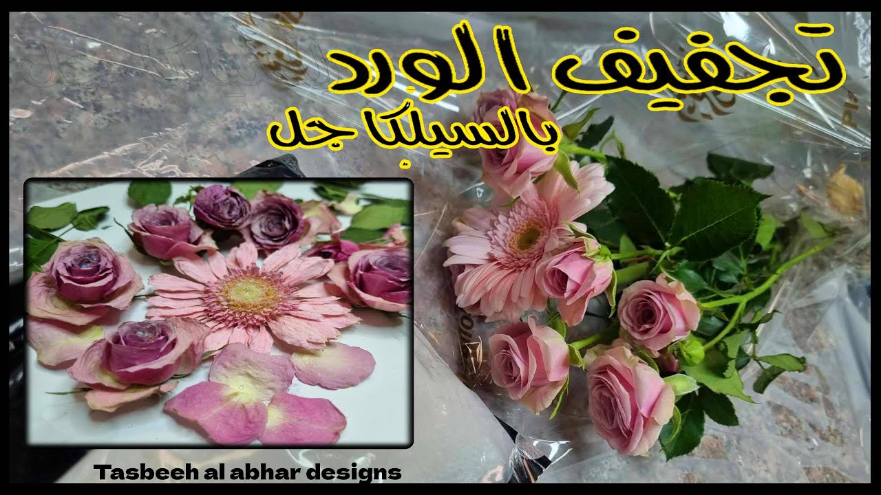 تجفيف الورد للريزن بالسيلكا جل