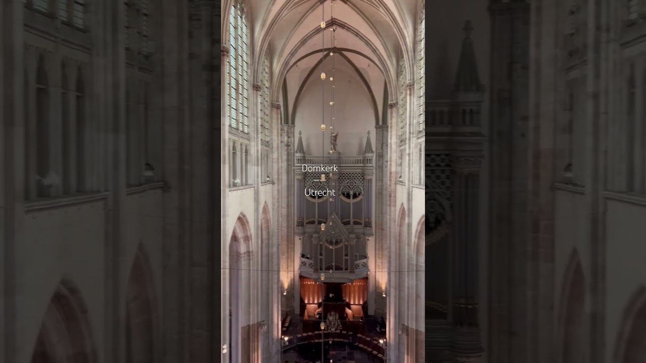View from the triforium in the Domkerk, Utrecht