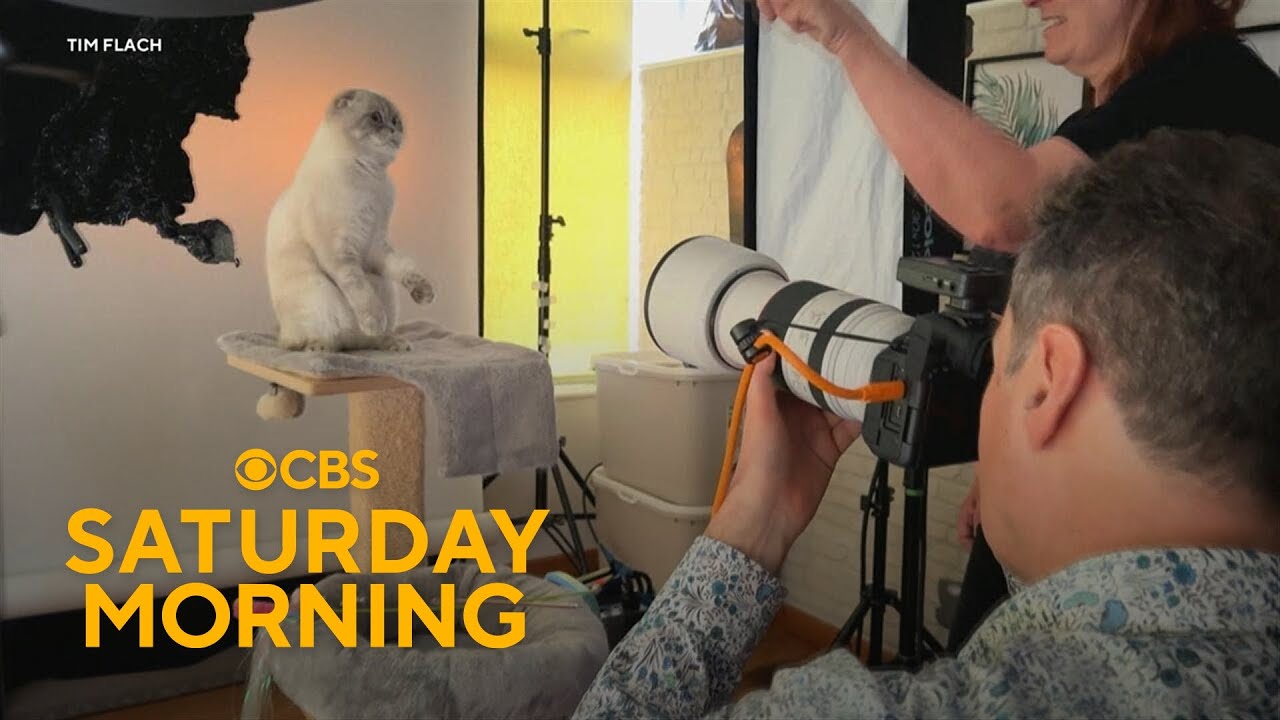 How a wildlife photographer found one of his biggest challenges with house cats