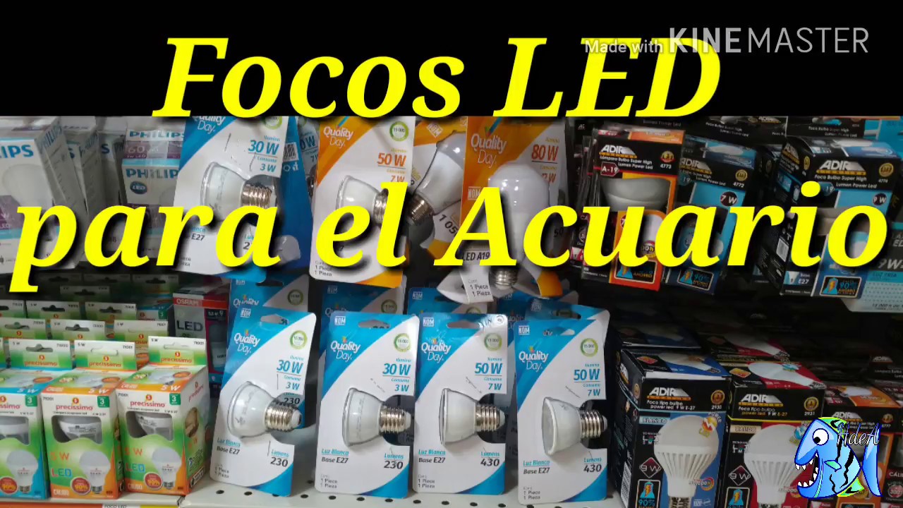 Focos LED para el Acuario