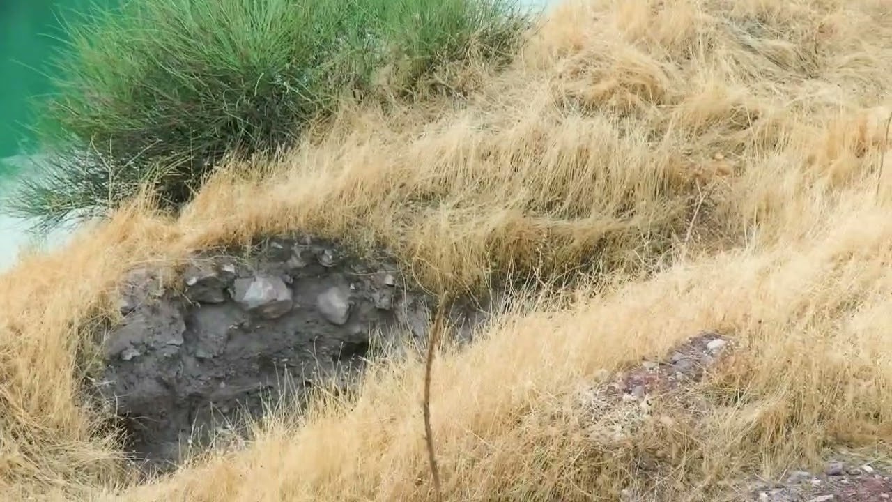 siirt kilis serdeste şuz