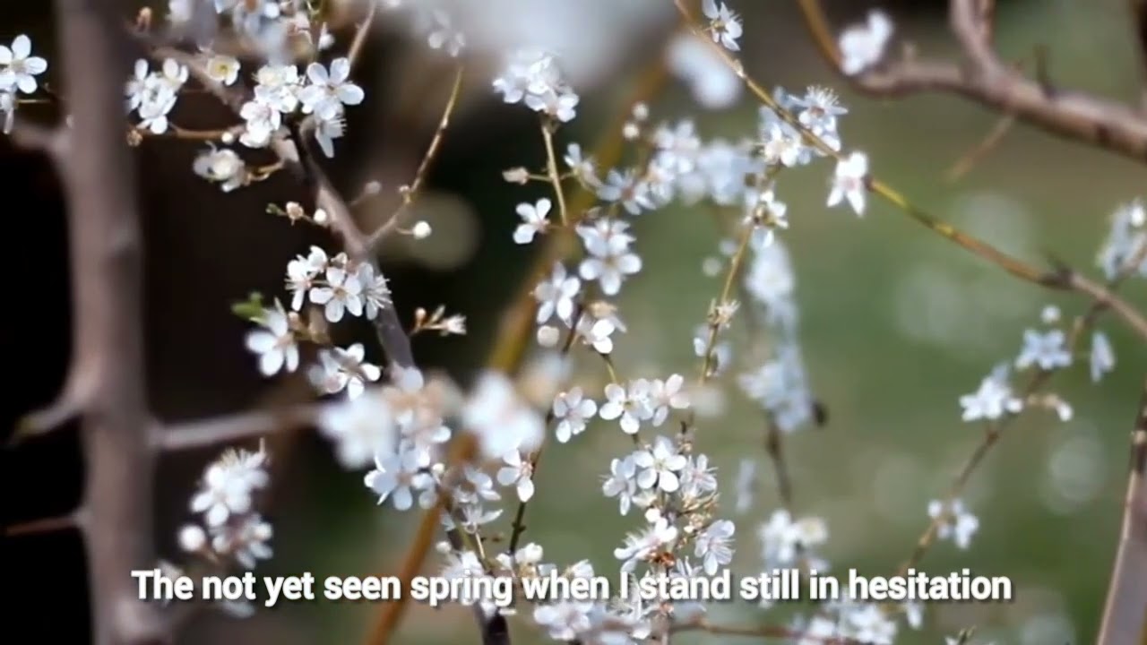 Haru Yo Koi (Eng Sub) #HaruYoKoi #YuzuruHanyu #Gala #Beijing2022