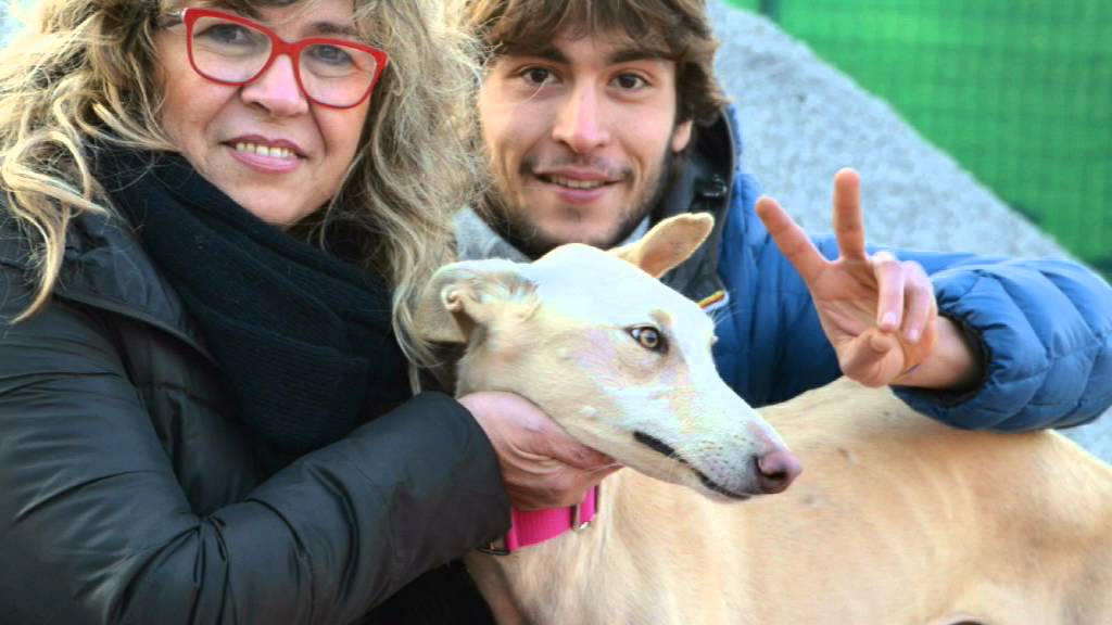 50° viaggio del Progetto Spagna ENPA