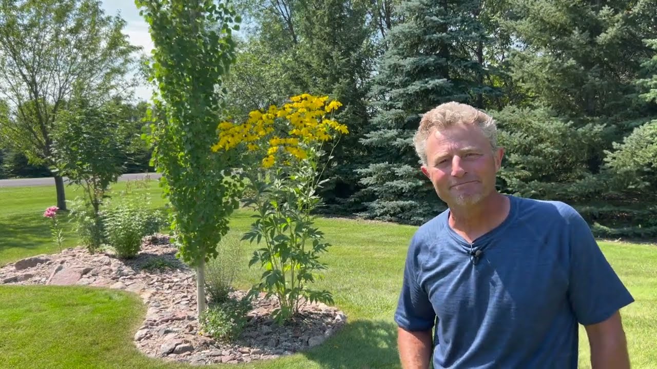 Whoa! Perennials That Get How Tall?