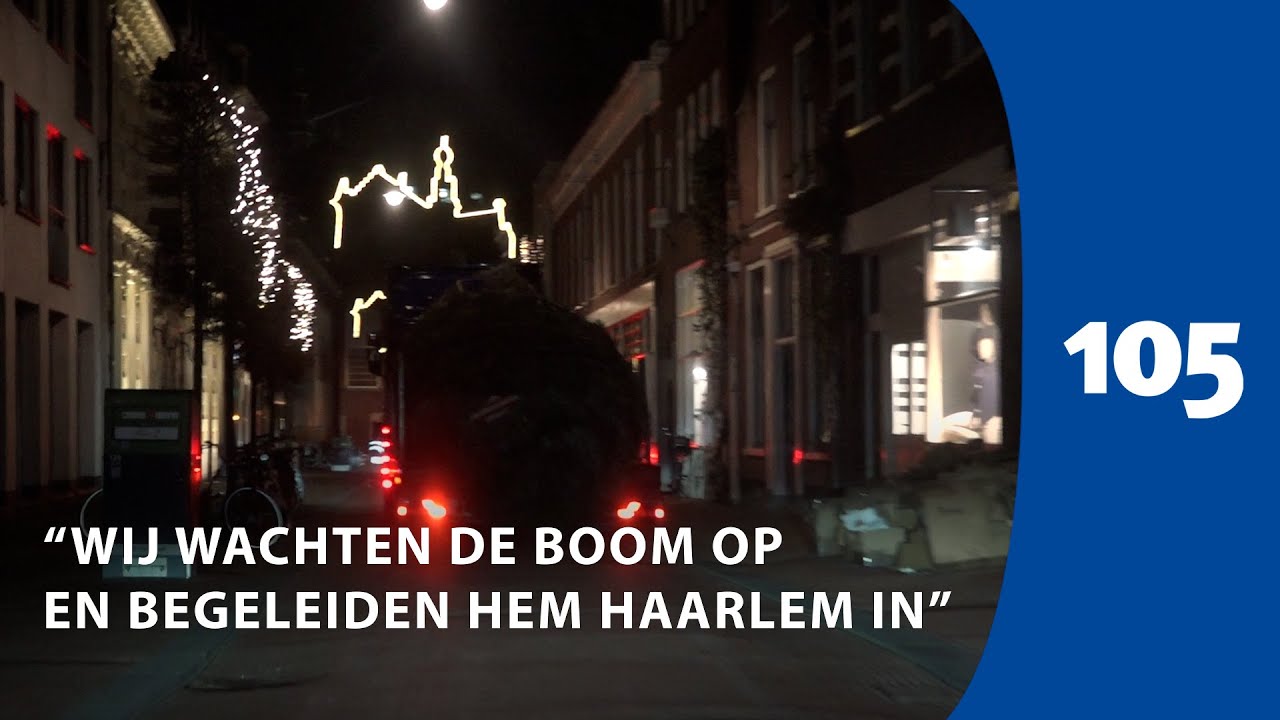 Kerstboom grote markt komt live aan tijdens de ochtendshow: 