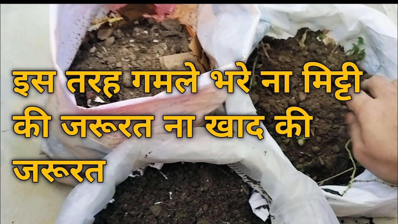 तीन तरह से गमले ग्रो बैग भरे ना मिट्टी की समस्या होगी ना खाद की जरूरत पड़ेगी 