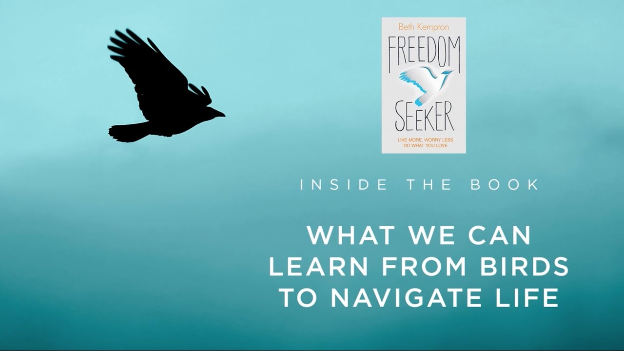 {FREEDOM SEEKER} INSIDE THE BOOK  WHAT WE CAN LEARN FROM BIRDS TO NAVIGATE LIFE
