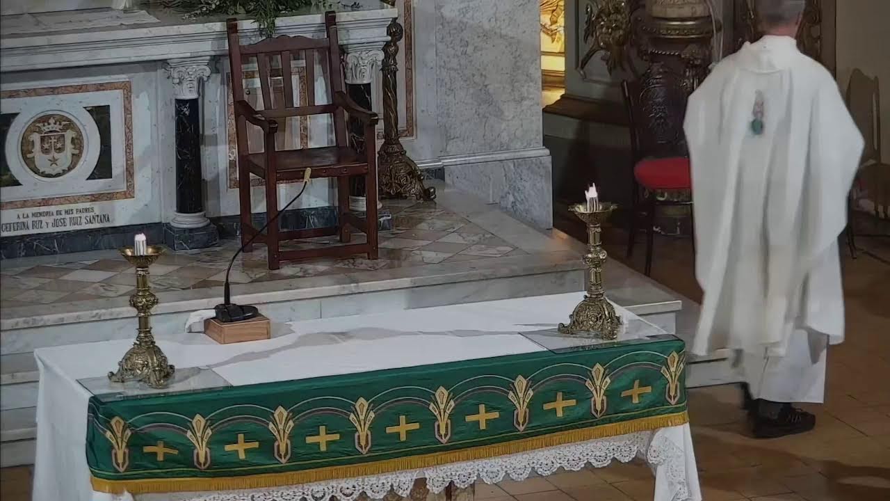 Santa Misa Miércoles, Nuestra Señora de Lourdes 11/02/26 20 Hs -