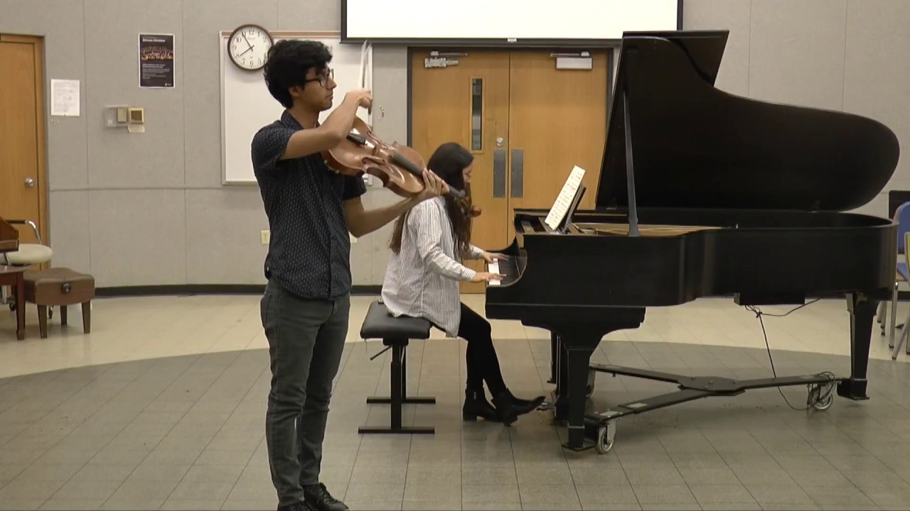 Stamitz Viola Concerto in D   1st movement