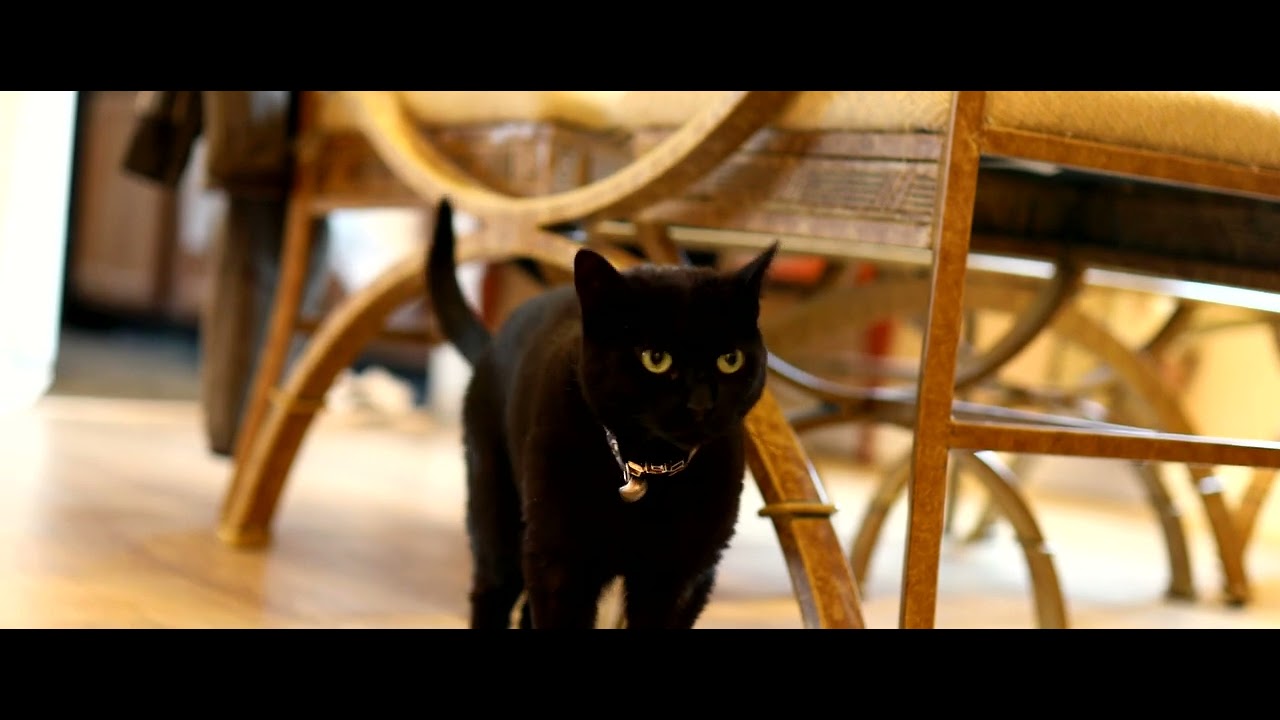21:9 4k test : Canon5dMkIV + Sigma 35mm f/1.4 Art