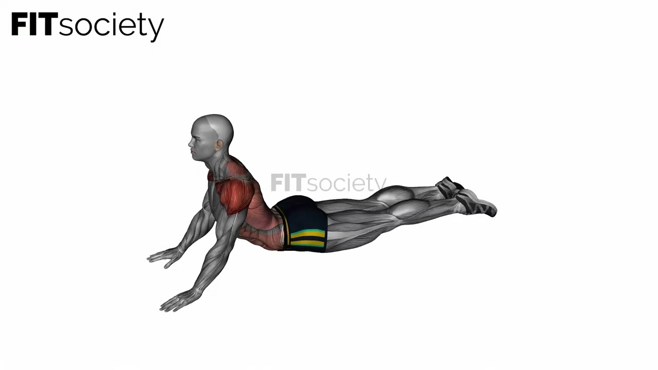 Lying (Prone) Abdominal Stretch - Exercise - Fitness Oefening - Fitsociety
