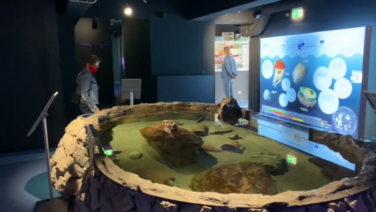 Kotor Aquarium / Akvarijum Boka in Montenegro