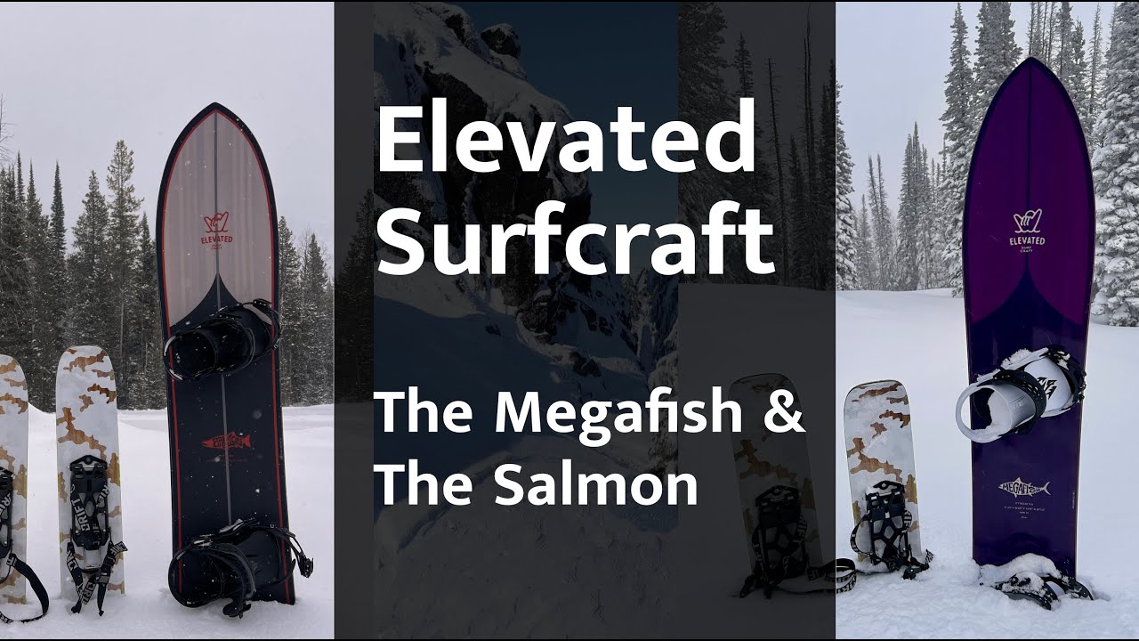 Elevated Surfcraft Megafish and Salmon: 4 things you should know.