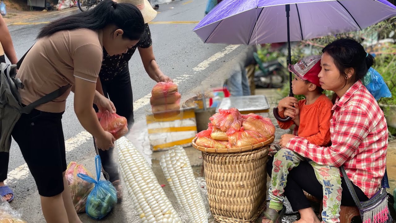 Harvesting corn to sell at the market. The day we sold all the corn and ate noodles with laughter.