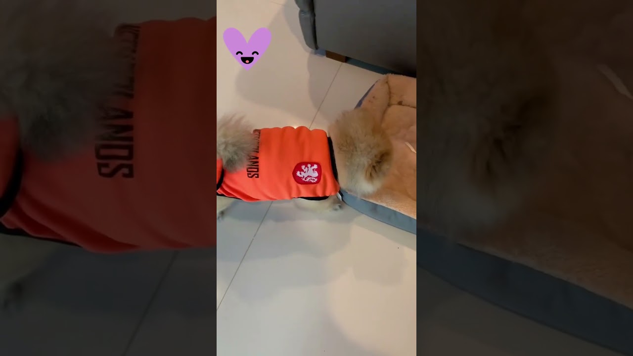 Tawan x Haru  #FlukePet