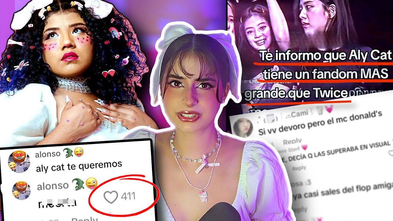 Tenemos que hablar sobre el acoso masivo hacia Aly Cat
