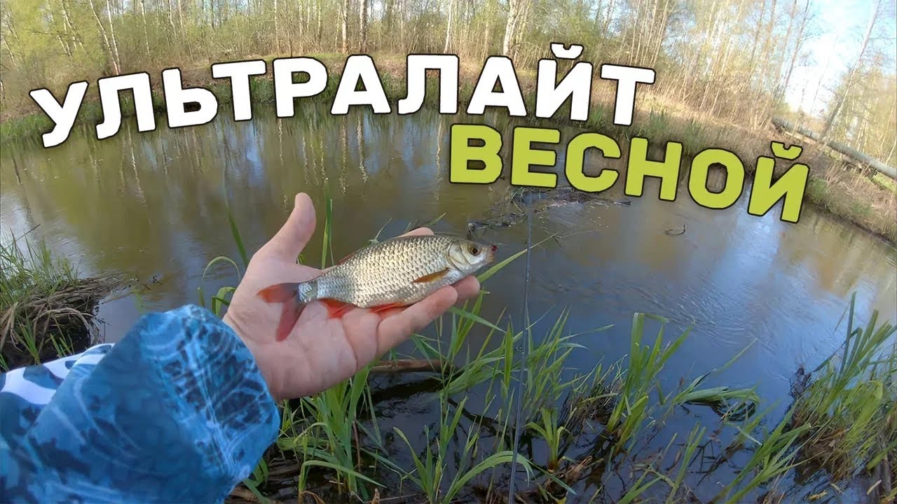ВЕСНА! КРАСНОПЕРКА, УКЛЕЙКА и окуни на мормышку. Иван Кашицин.