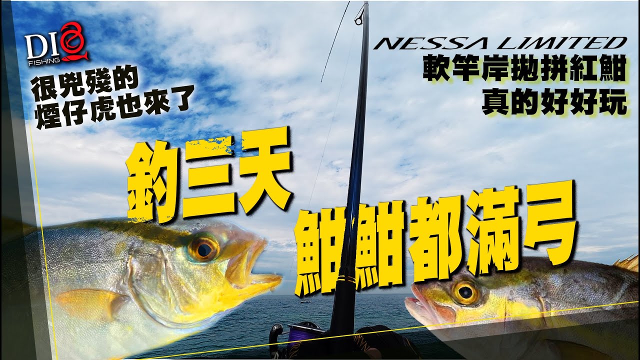 拿軟竿拼紅魽 真的很好玩 🐟東北角釣點🐟 DIO魚Fishing 紅魽 煙仔虎