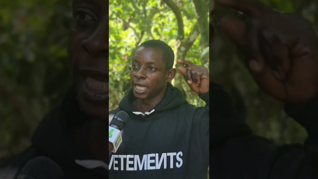 &ldquo;I sleep on my farm to protect my cocoa &mdash; after all that, you&rsquo;re paying GH&cent;2,587?&rdquo; &mdash; Cocoa farmer