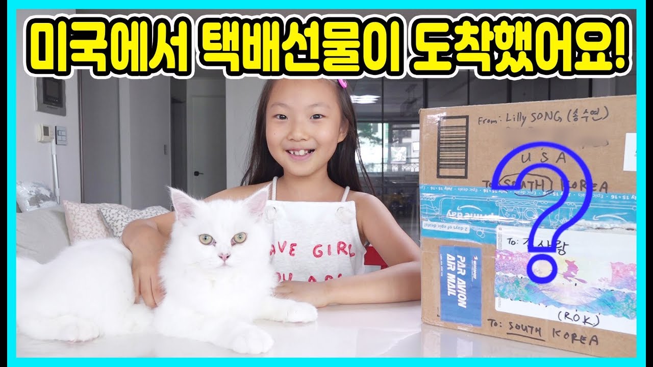 미국에서 택배선물이 도착했어요! 과연 어떤 선물이 들어 있을까요? 궁금하네요~~[사랑아놀자 LOVE&TORY]