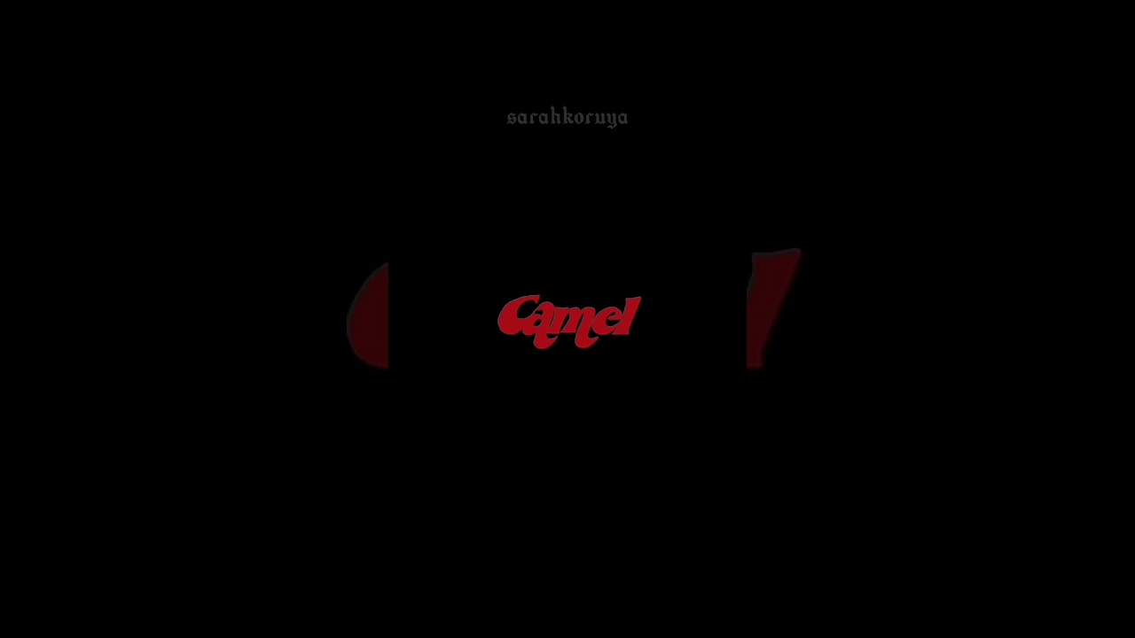 Camel By Camel // Andy Biersack 