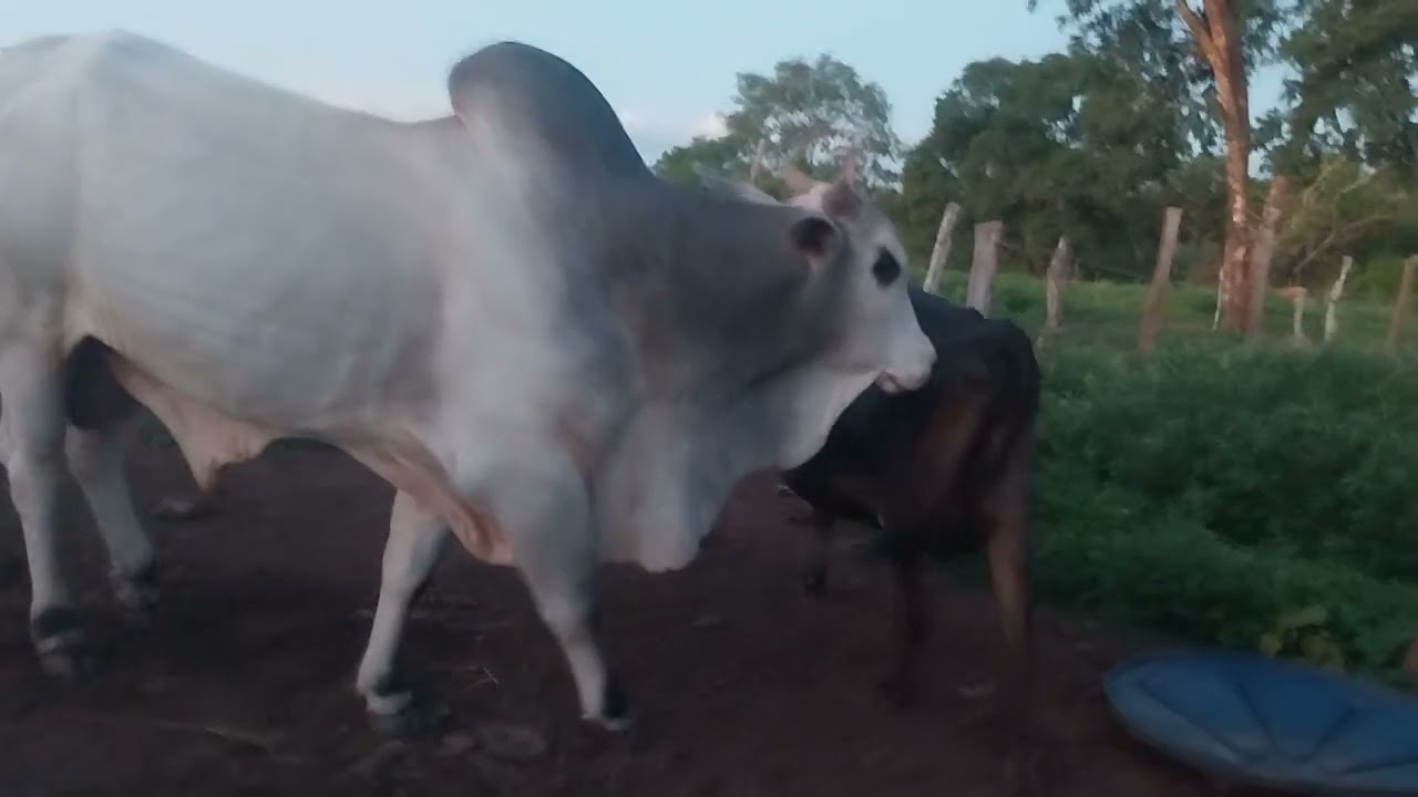 30 de dezembro de 2025