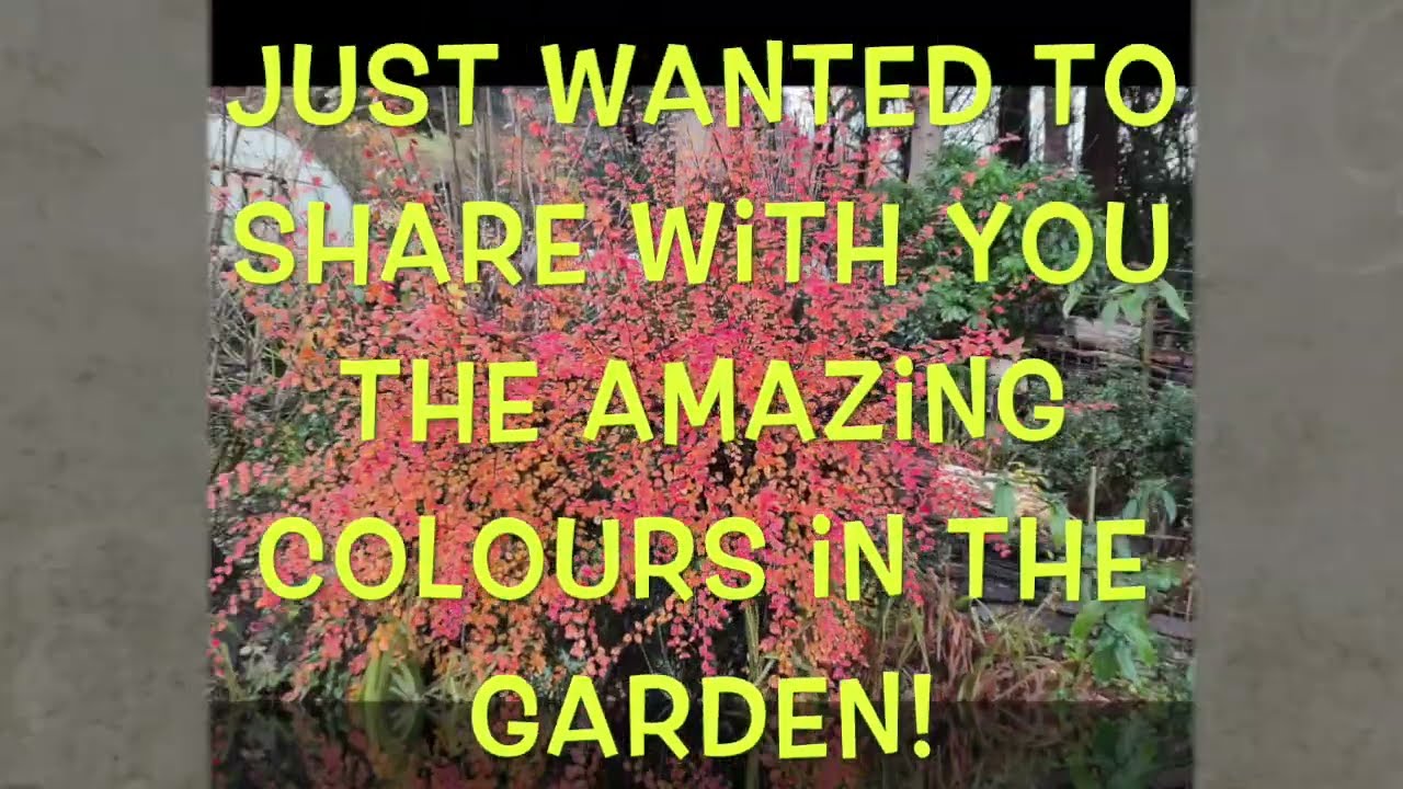 Гостевой дом Riverside Bed & Breakfast: Экскурсия по саду в национальном парке Сноудония.