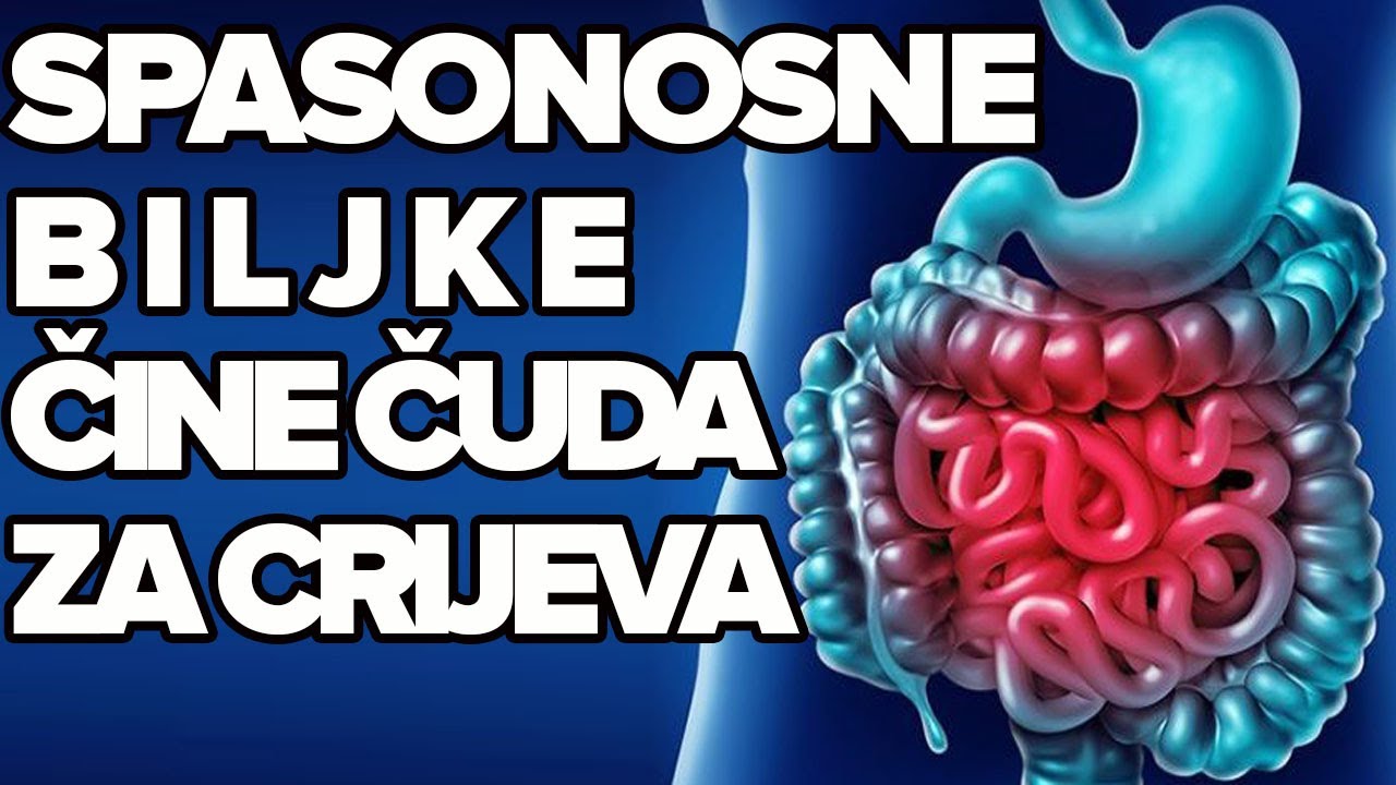 POBOLJŠAJTE PROBAVU I OČISTITIE CRIJEVA U TRI KORAKA! Dr Mihajlović