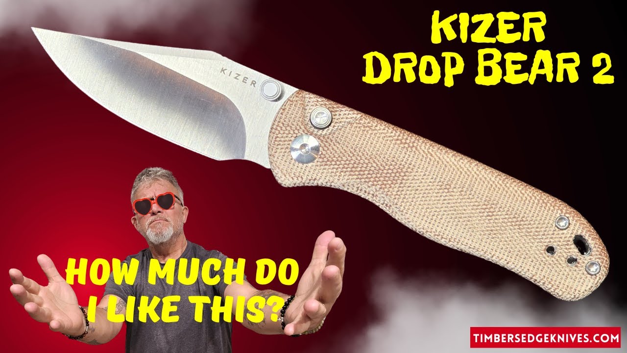 Kizer Drop Bear 2 Br #kizerknives #kizerdropbear2 #knifereview #knifedisassembly