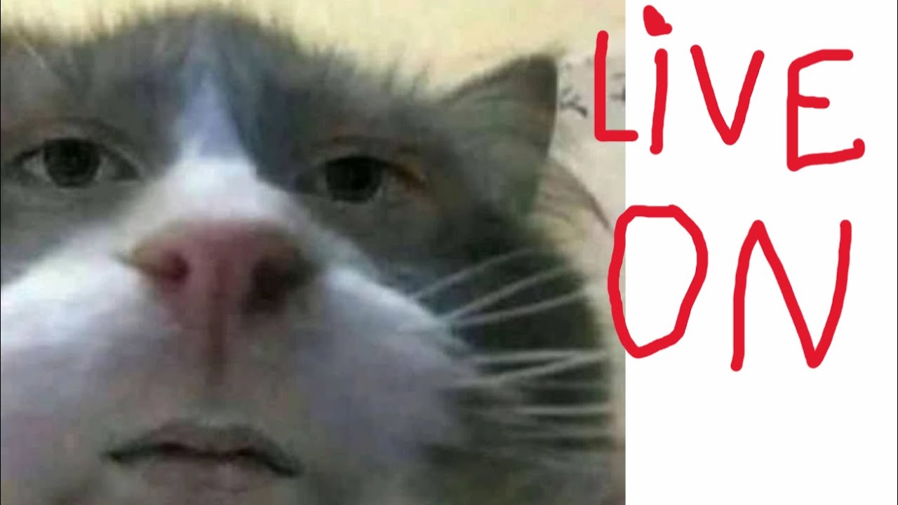 Hoje nem eu me aguento...Carisma em falta, paciência zerada!!!!
