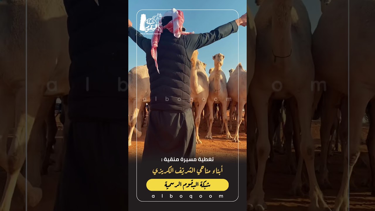 مسيرة منقية أبناء : مناحي الشريف الكريزي البقمي | تصوير جوي 4K