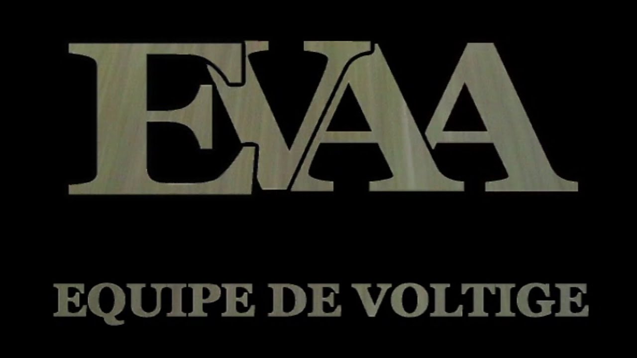 Equipe de Voltige De L'Armée De L'Air