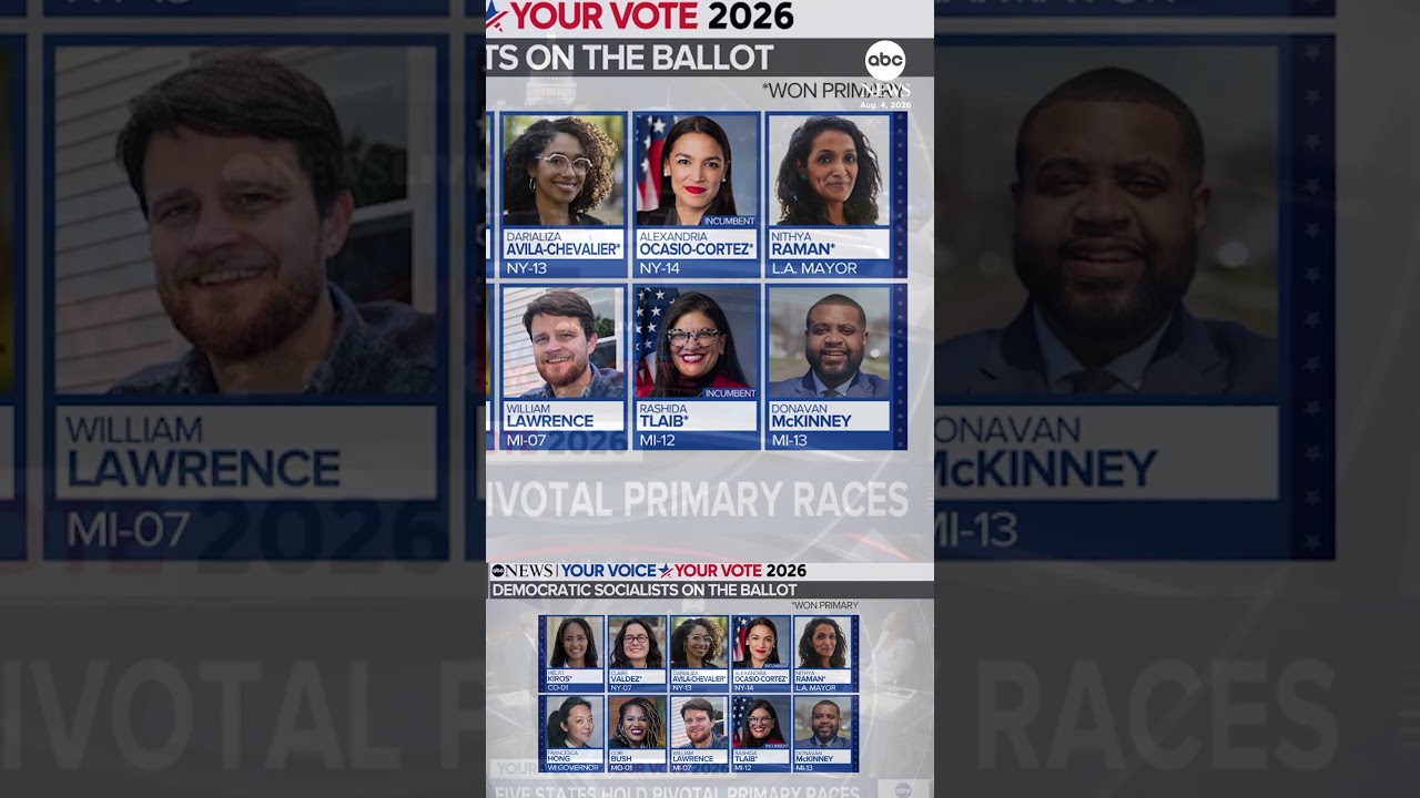 Analyzing Michigan's Democratic Senate primary
