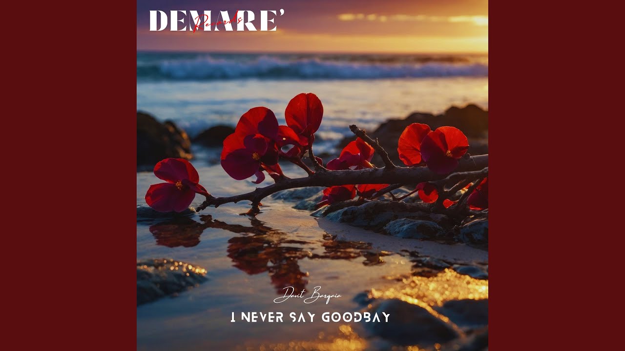 I Never Say Goodbay (Original Mix)