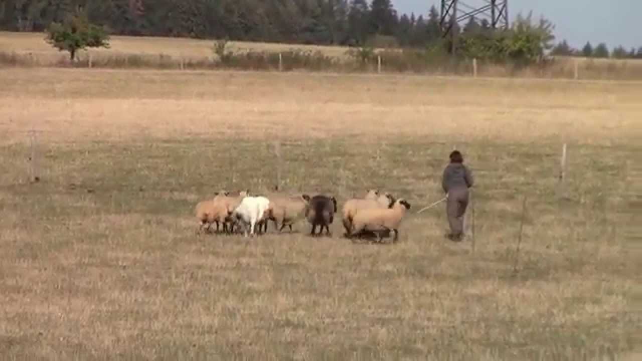 tr&eacute;nink Brian Mart&iacute;nkovice 10 2015