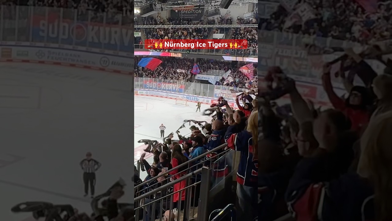 Super Stimmung bei den Nürnberg Ice Tigers | DEL Playoffs 2025 