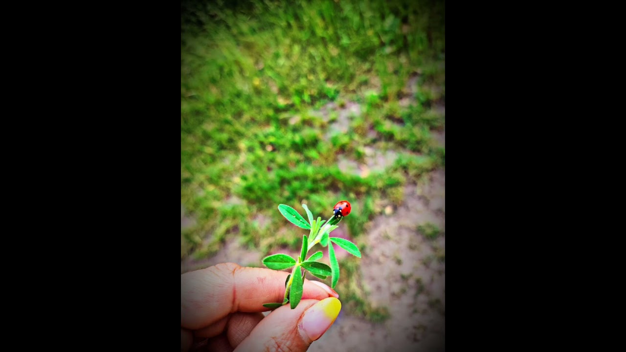@Dziękuje