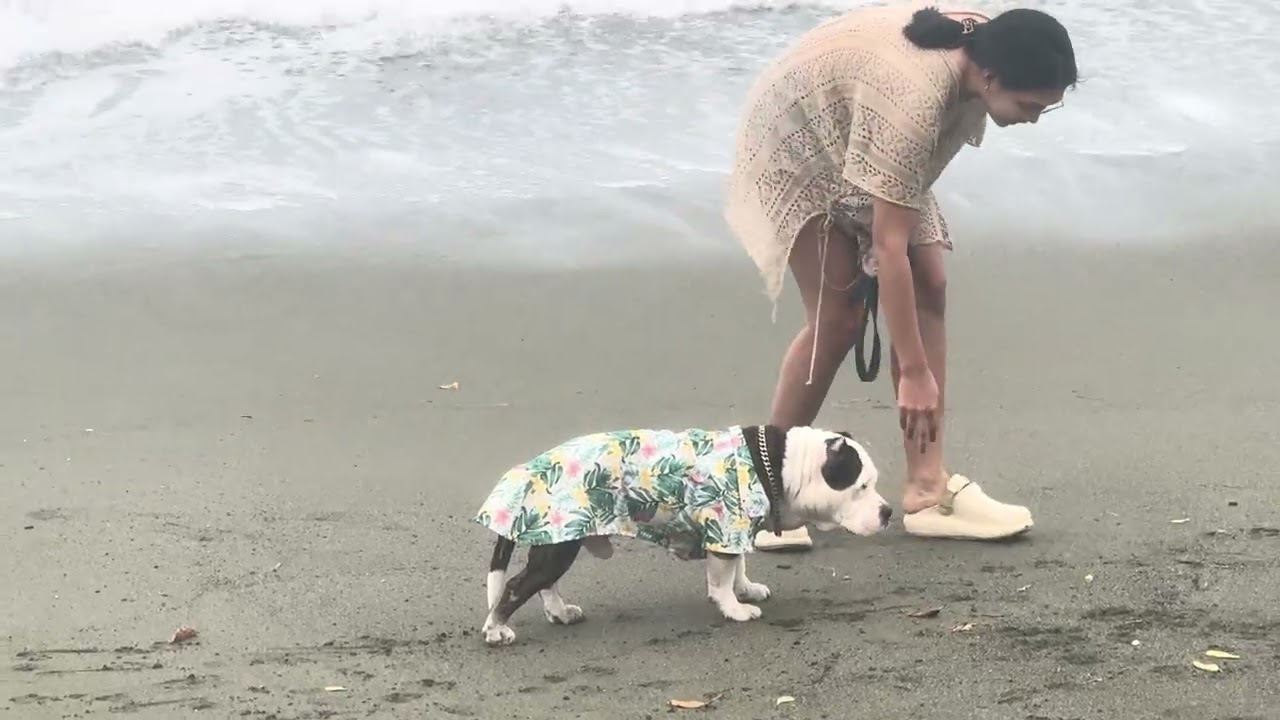 Enjoying the Baler Beach