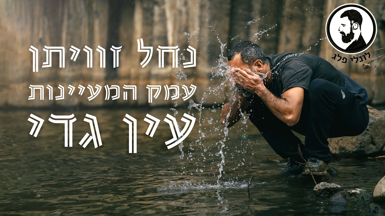 נחל זוויתן, עמק המעיינות ועין גדי
