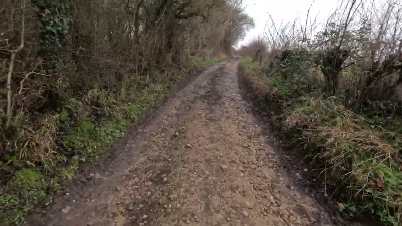 A Quiet Walk Along Country Lanes and Bridleways