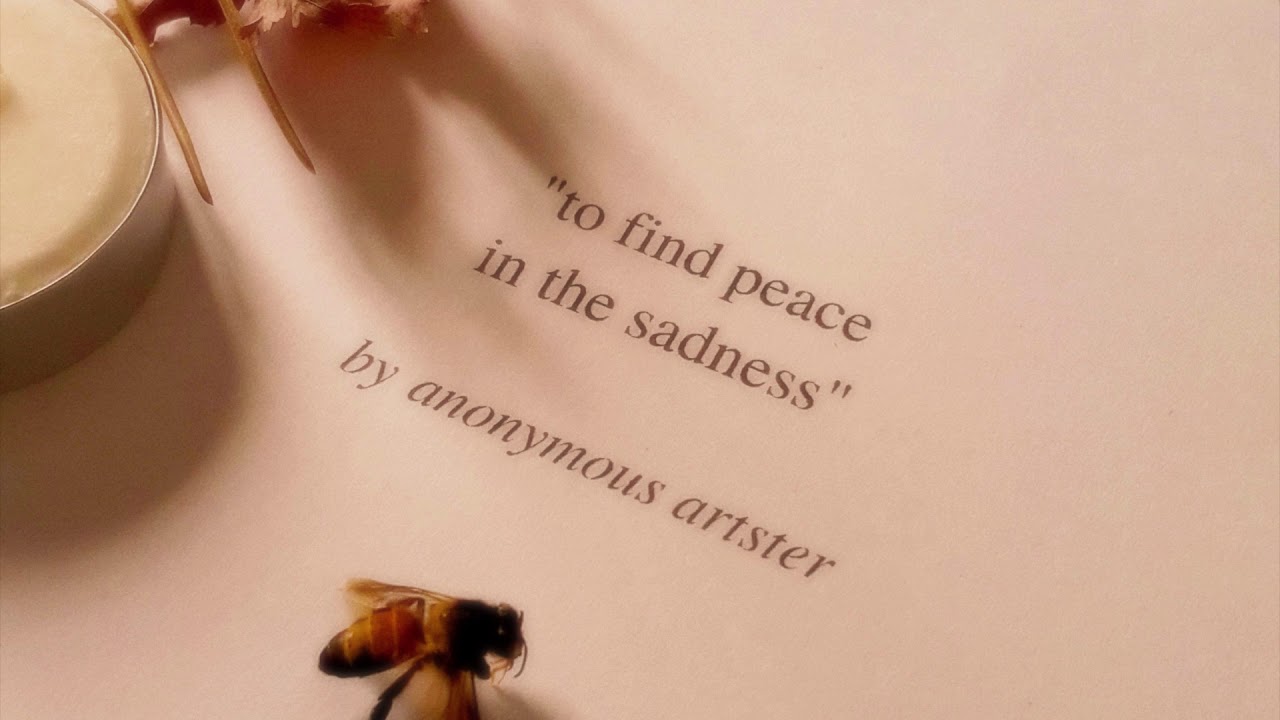 anonymous artster - to find peace in the sadness (extended) (full album stream)
