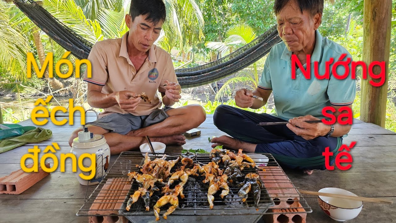 1217 l Thăm lợp ếch trên đồng lúa chín dính thấy ham l Frog