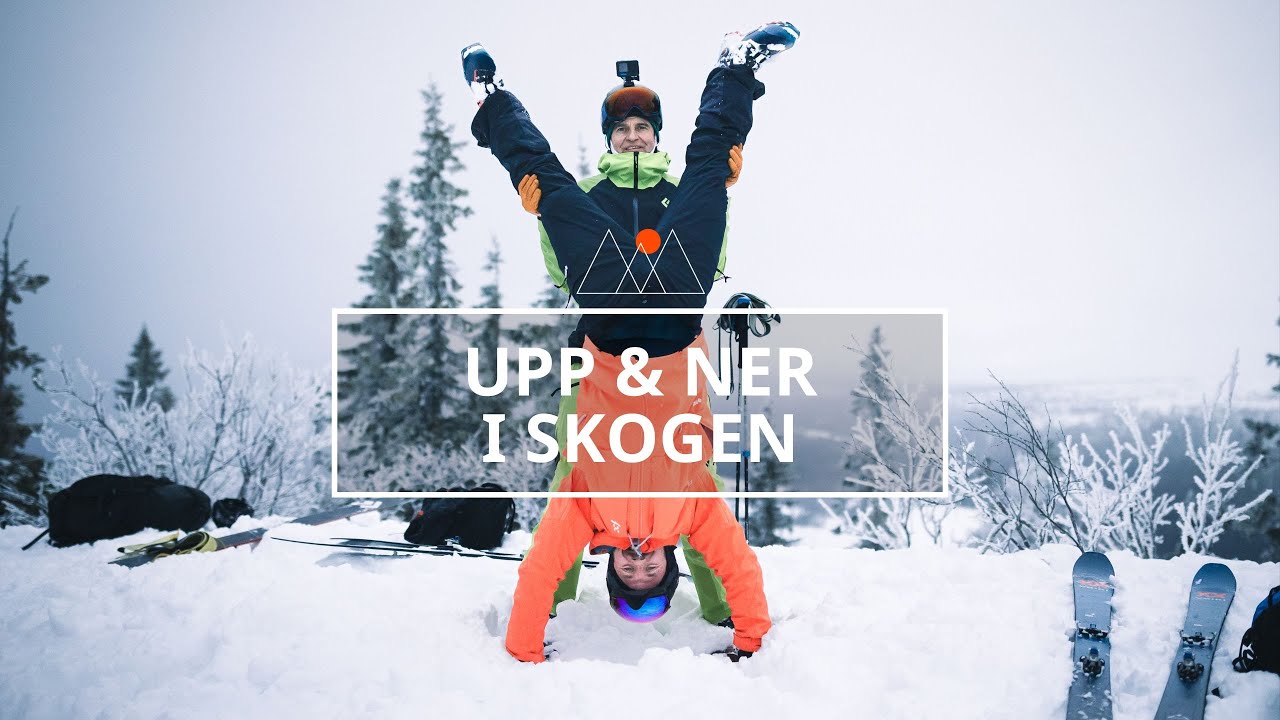 Upp & Ner i Skogen - Vi ger tips för en trygg skogsåkning.