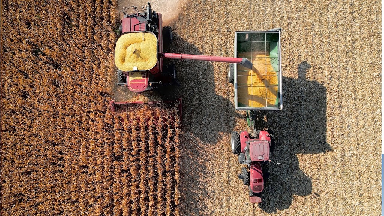 Hering Farms - Corn Harvest 2023