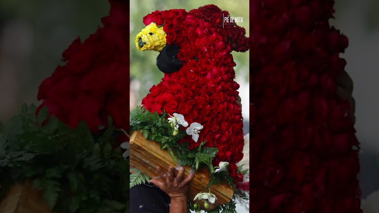 Entregan el cuerpo del MENCHO ǀ Se presume la presencia de LAISHA OSEGUERA: