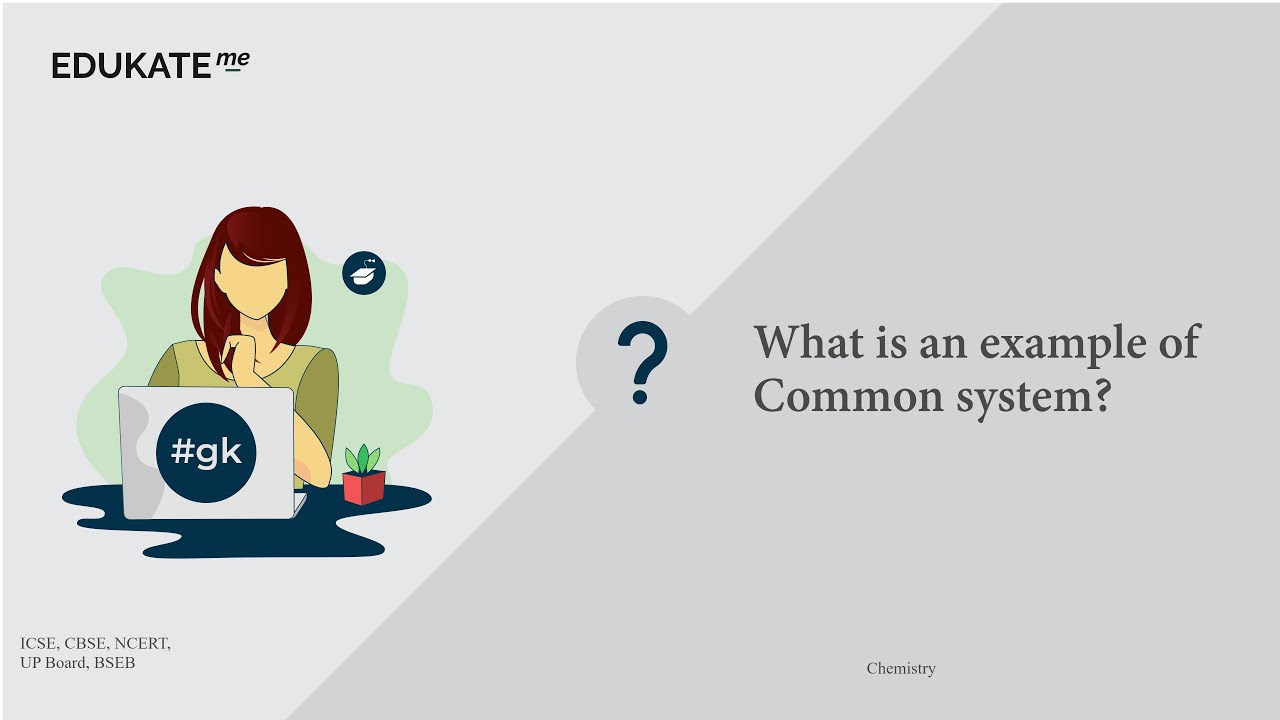 What is an example of Common system?
